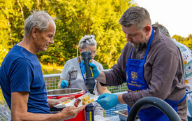Wawrzynki_2026_Prezydent_Grill-8