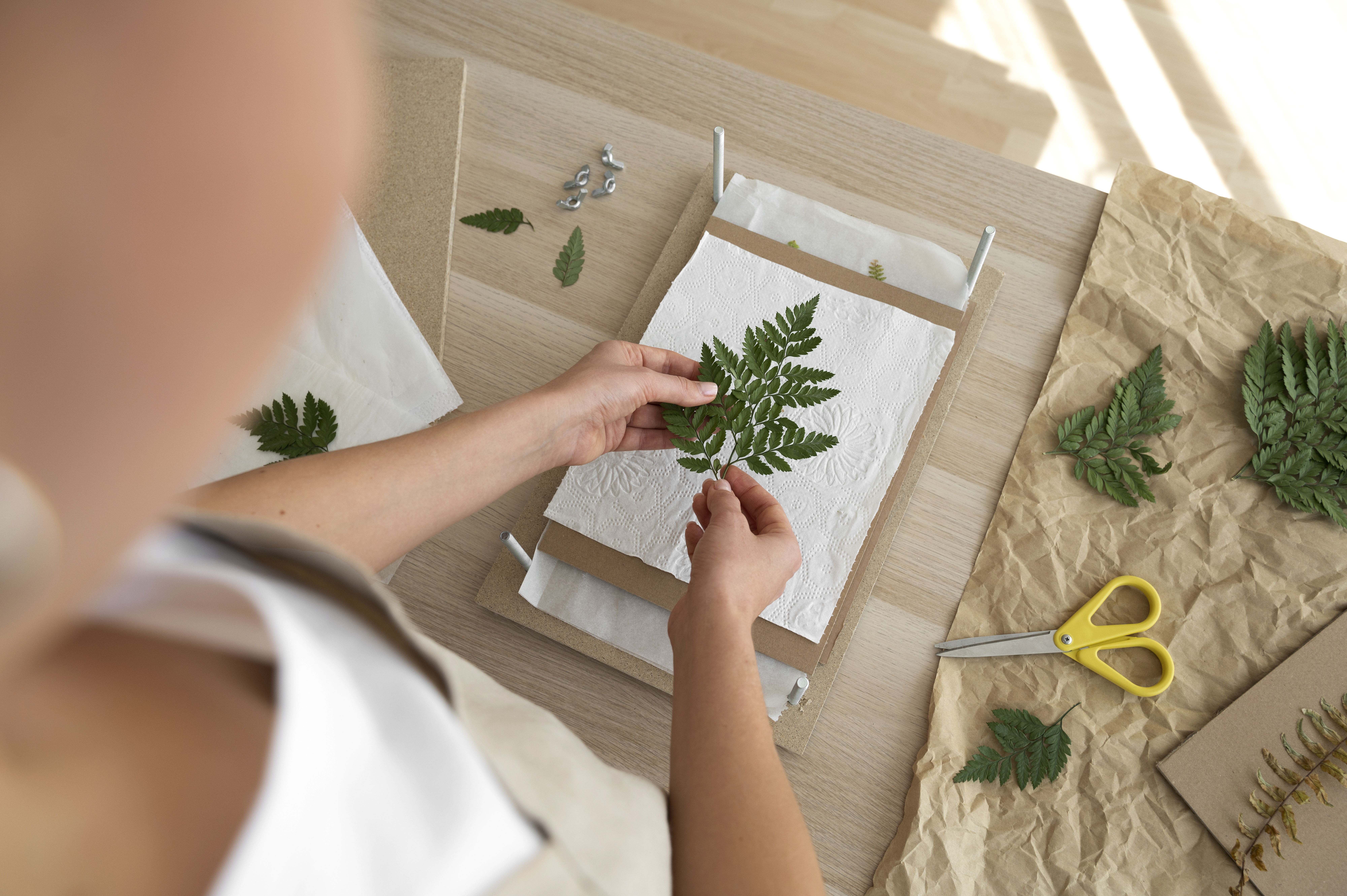 technika suszenia i&nbsp;prasowania kwiat&oacute;w w&nbsp;martwej naturze