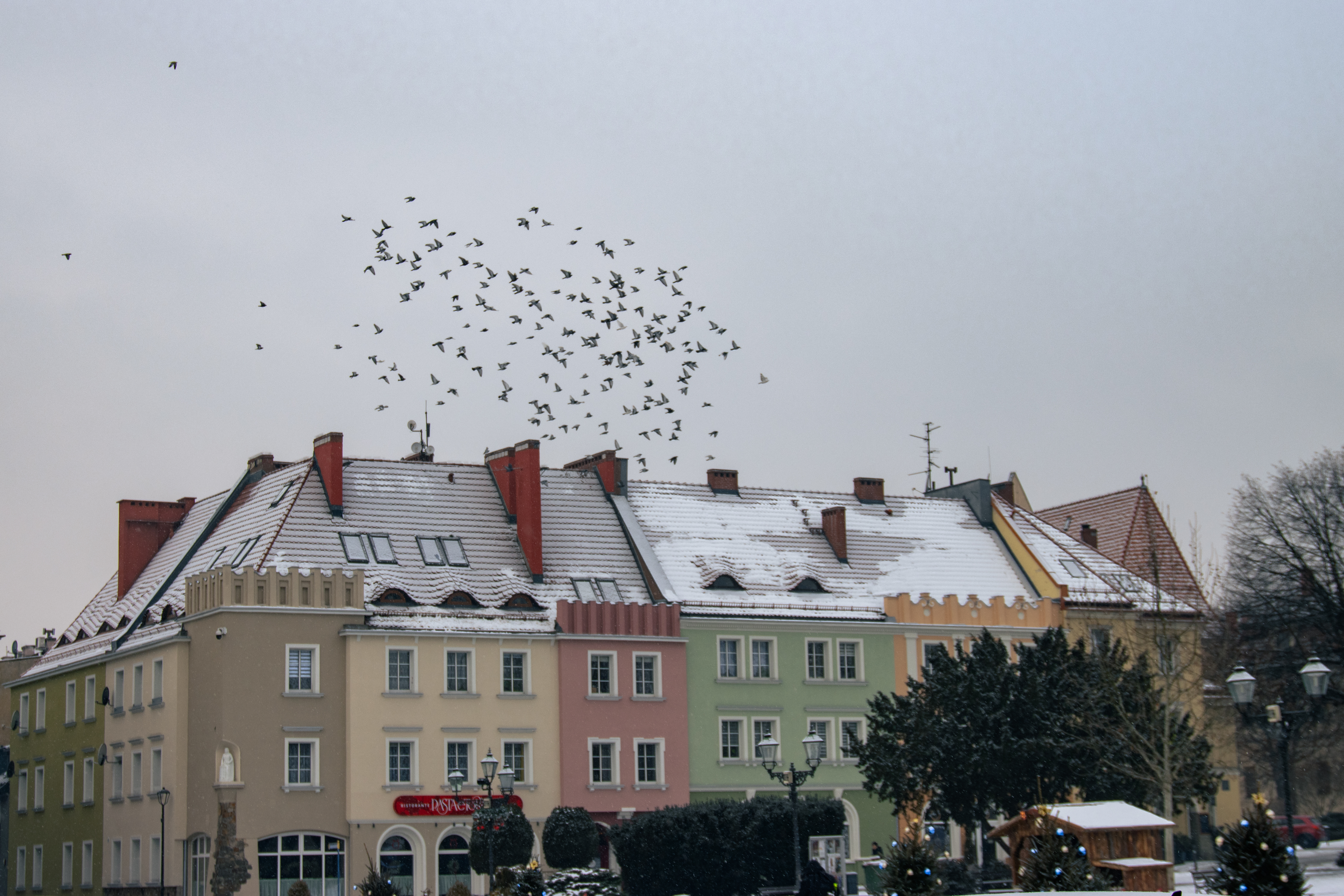 Kamienice na&nbsp;wodzisławskim rynku