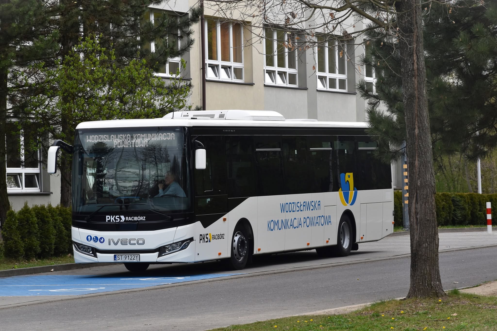 biały autobus