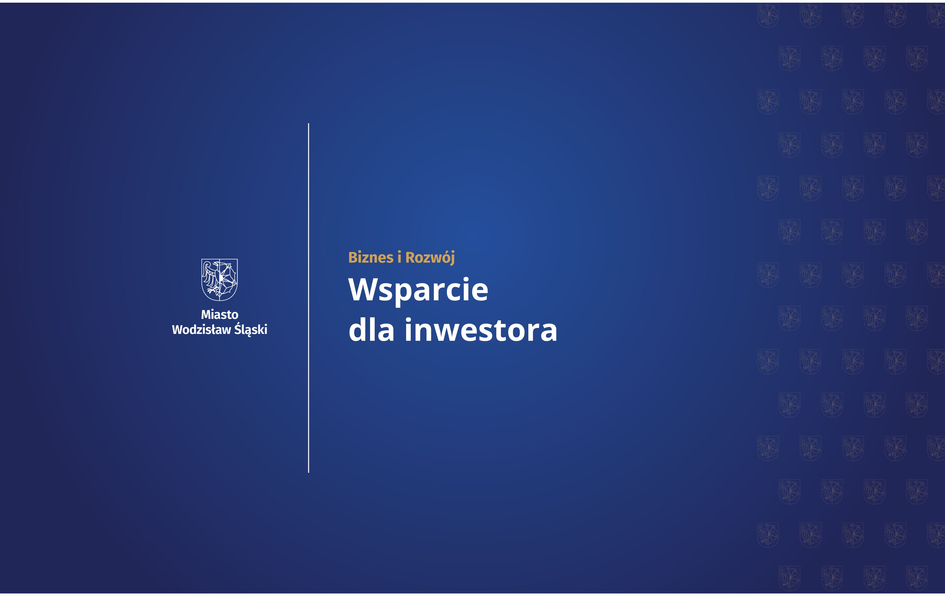Wsparcie dla inwestora w&nbsp;Wodzisławiu Śląskim