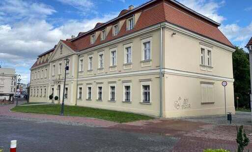Wandale zniszczyli elewację Pałacu Dietrichsteinów - oświadczenie Dyrektora Muzeum