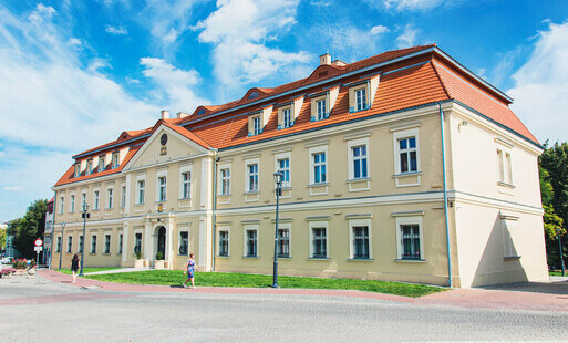 Pałac Dietrichsteinów z lotu ptaka