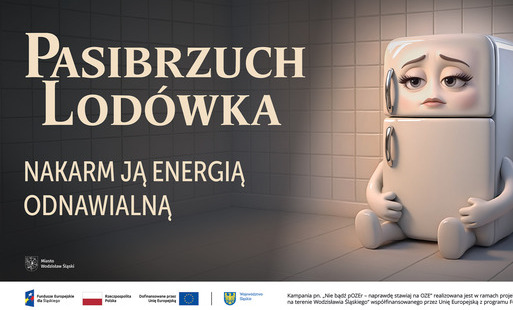 Zdjęcie do Trwa kampania "Nie bądź&nbsp;pOZEr - naprawdę stawiaj na&nbsp;OZE"
